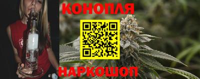 jwh Гатчина