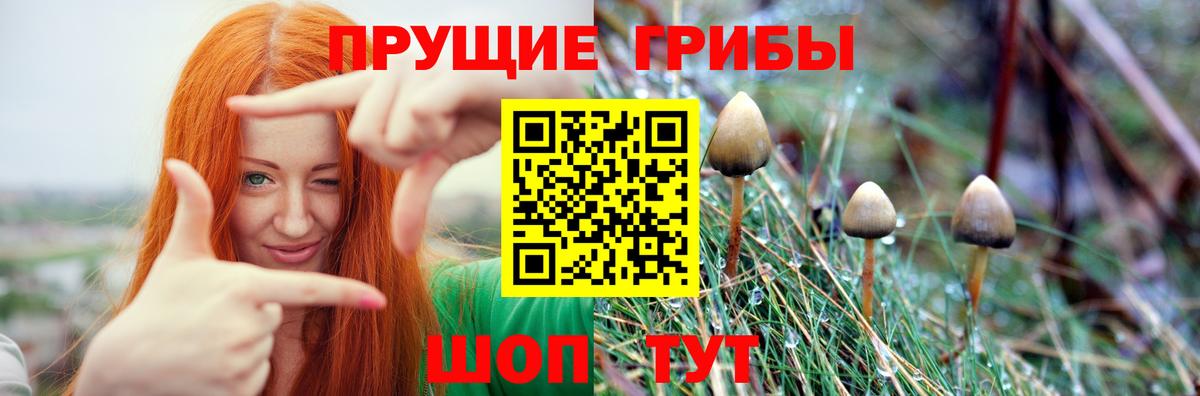 Урус-Мартан  Галлюциногенные грибы MAGIC MUSHROOMS  Вход с VPN 